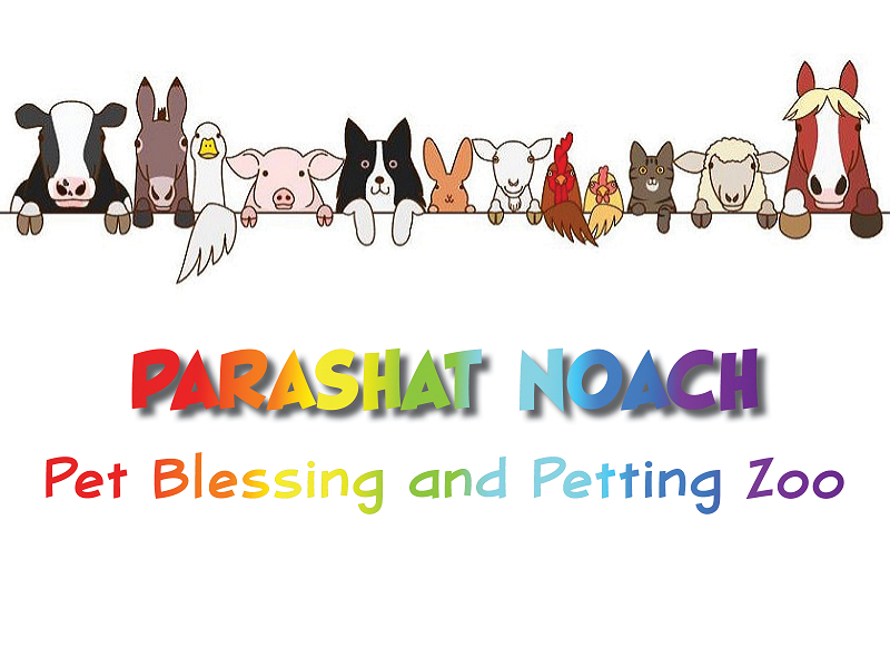 Parshat Noach Pet Blessing and Petting Zoo